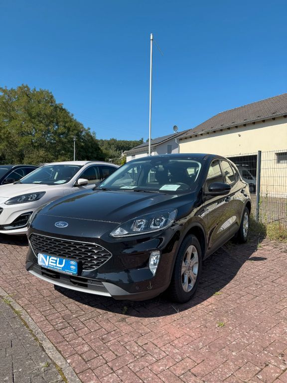 Kuga