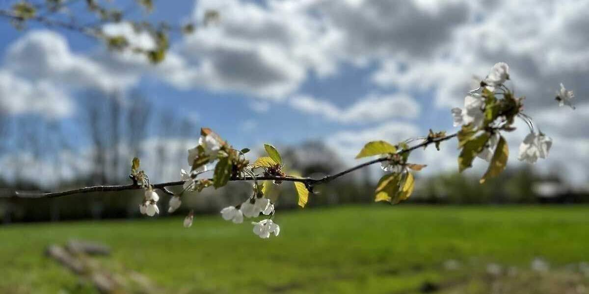 Grundstück Kisdorf - 439.900&euro; | Angebot:24637009