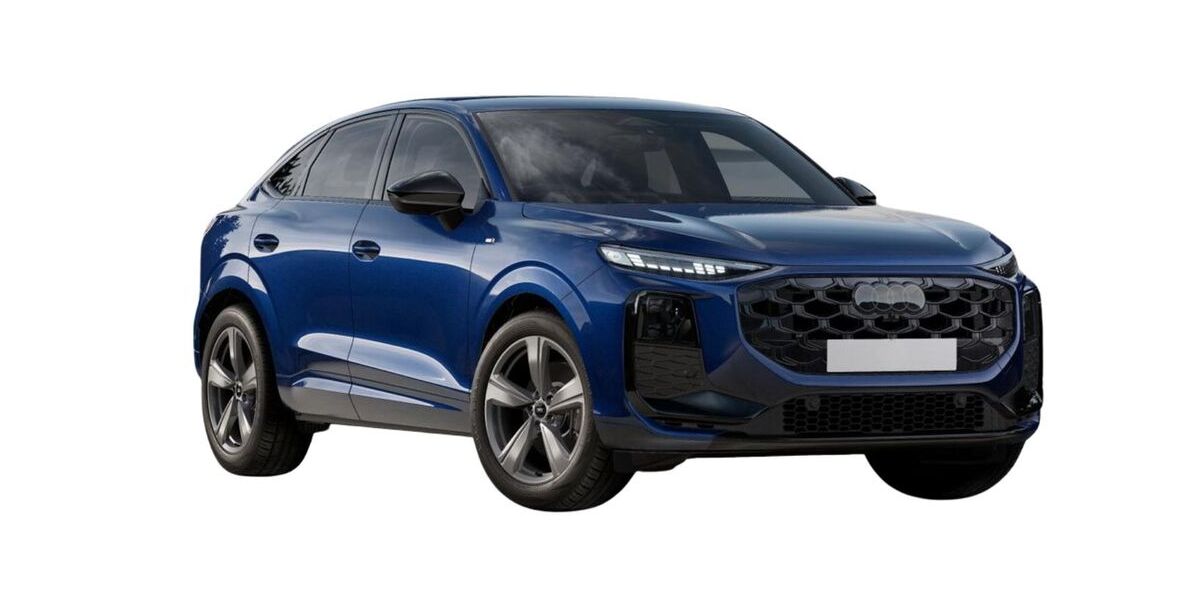 Audi Q3 1.033 km 49.990 &euro; Wangen 88239