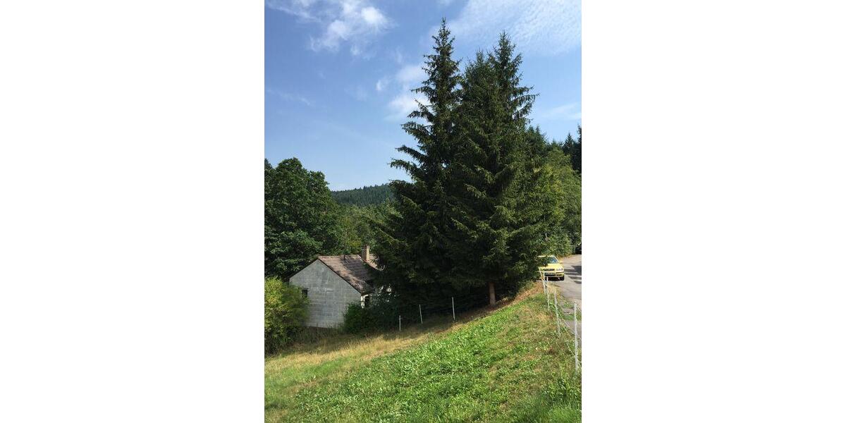 Einfamilienhaus Walldürn - 2 Zimmer, 40 m&sup2;, 150.000&euro; | Angebot:27000082
