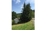 Einfamilienhaus Walldürn - 2 Zimmer, 40 m&sup2;, 150.000&euro; | Angebot:27000082