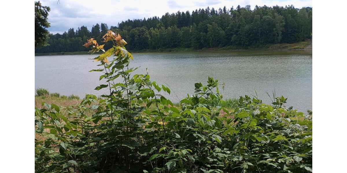 Einfamilienhaus Pockau-Lengefeld Nennigmühle - 158.000&euro; | Angebot:24233997