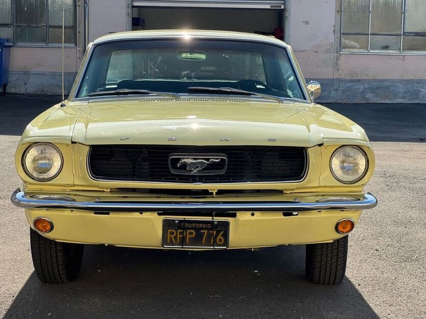 Mustang