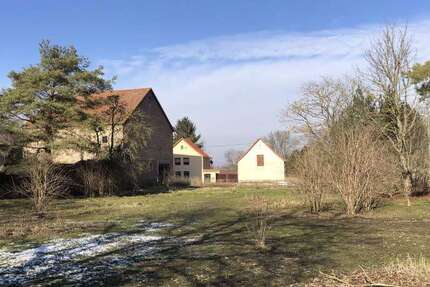 Grundstück Könnern-Hohenedlau Hohenedlau - 49.000&euro; | Angebot:25273313