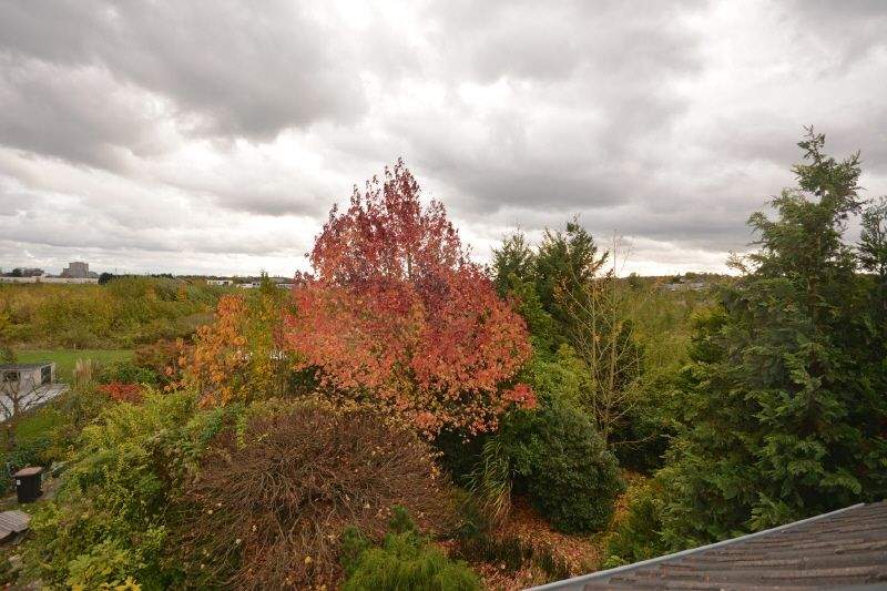 Modernes Reihenendhaus in Hürth-Hermülheim - Großzügiger Garten und exzellente Verkehrsanbindung 6 zimmer