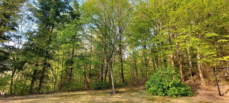 Einfamilienhaus Heringen (Werra) - 3 Zimmer, 68 m&sup2;, 97.000&euro; | Angebot:26113879