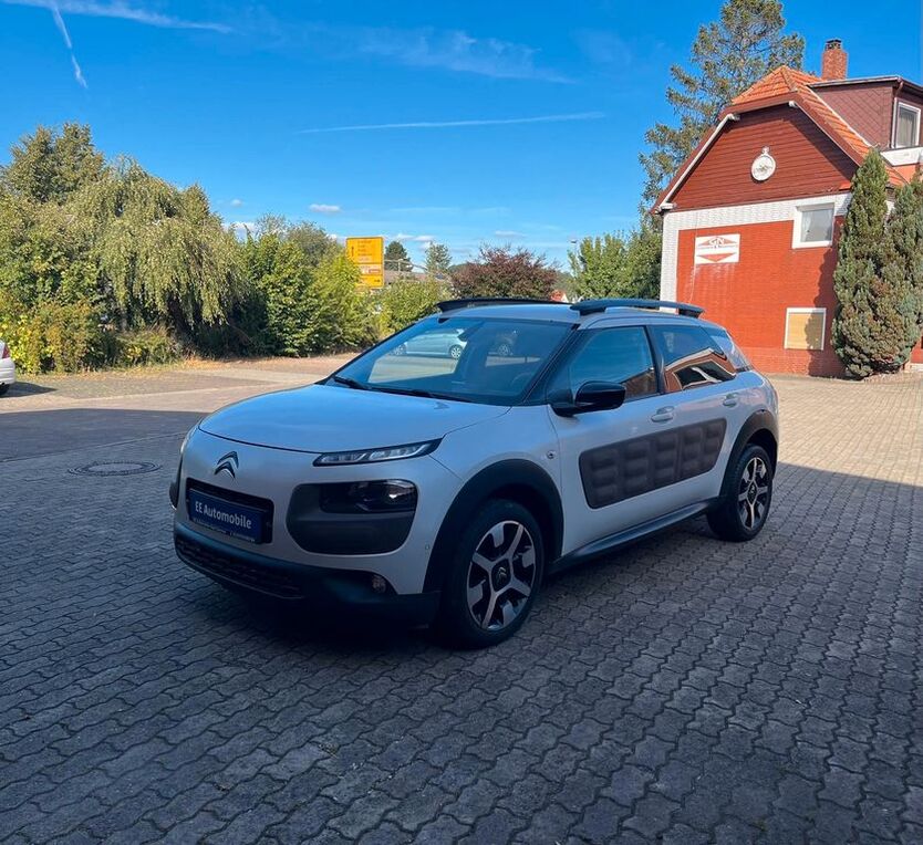 C4 Cactus