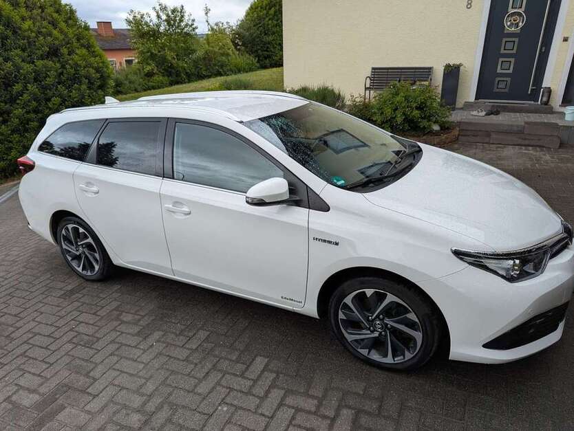 Auris