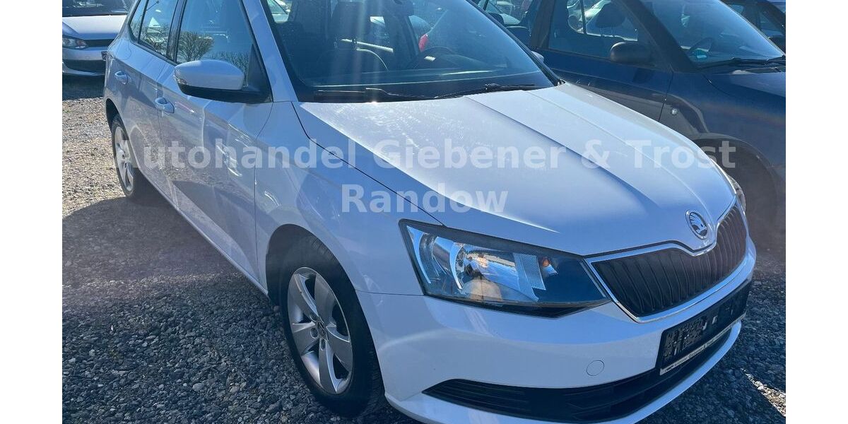 Skoda Fabia 106.500 km 8.250 &euro; Demmin 17109