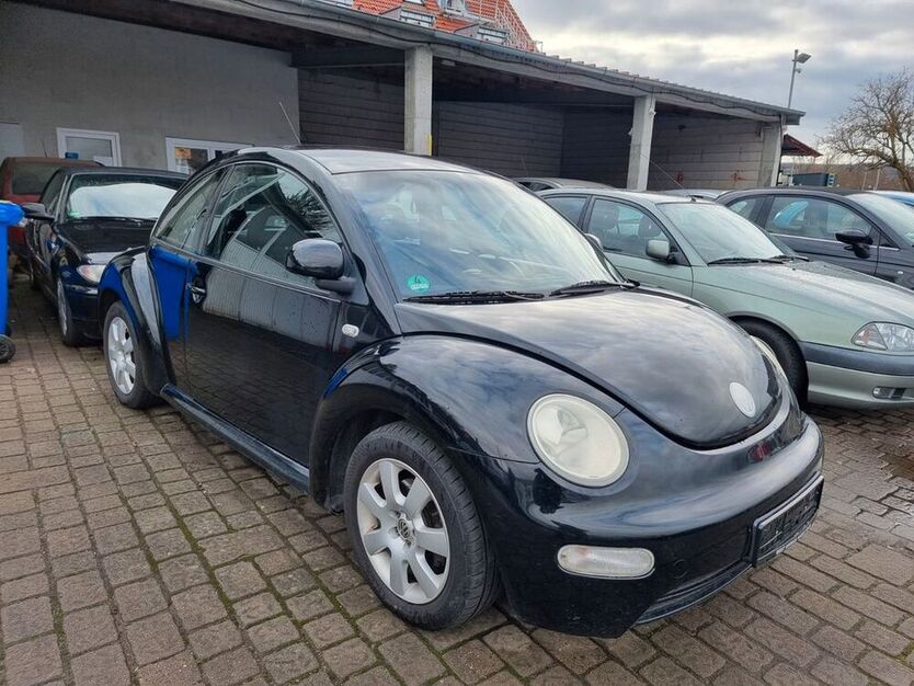 Beetle