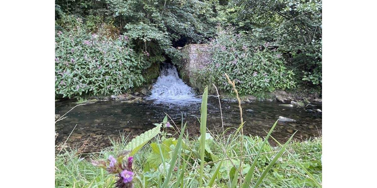 Gewerbeobjekt Gerolstein Müllenborn - 1.050.000&euro; | Angebot:25780090