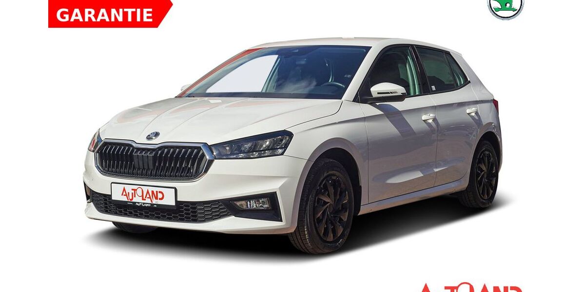 Skoda Fabia 24.410 km 18.490 &euro; Dresden 01239