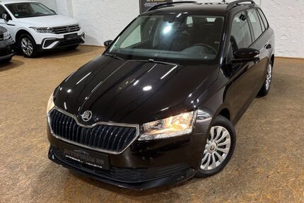 Skoda Fabia 46.261 km 13.690 € Braunschweig Wenden 38110
