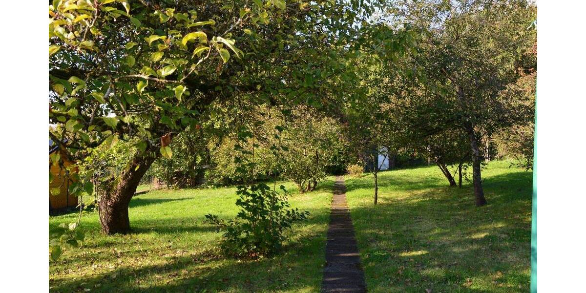 *2 Einfamilienhäuser auf einem Grundstück im beliebten OT Dreilinden* 9 zimmer