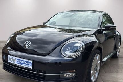 VW Beetle