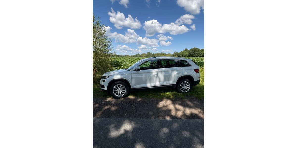Skoda Kodiaq 180.000 km 16.500 &euro; Hamweddel 24816