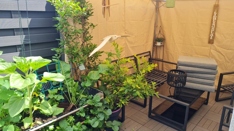 Einfamilienbungalow mit Einliegerwohnung in Kornwestheim zimmer