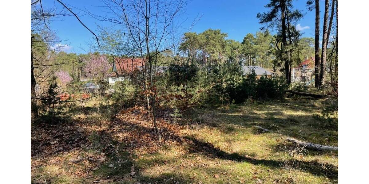 Grundstück Bad Saarow Bad Saarow-Pieskow - 388.000&euro; | Angebot:26202003