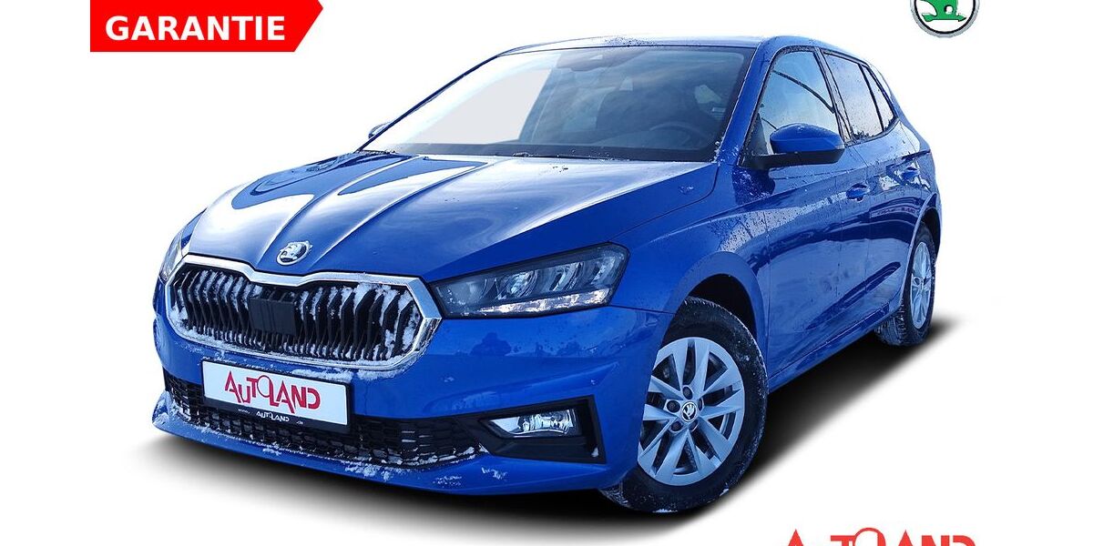 Skoda Fabia 48.293 km 17.990 &euro; Zella-Mehlis 98544