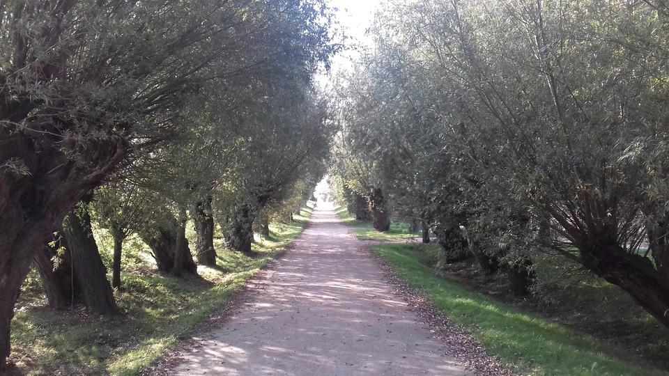 Etagenwohnung Rosengarten - 2 Zimmer, 40 m&sup2;, 145.000&euro; | Angebot:24632405