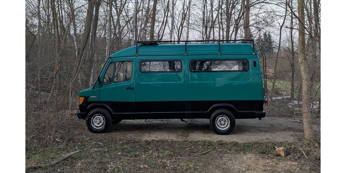 Mercedes-Benz Andere 203.000 km 17.500 &euro; Treben 04617