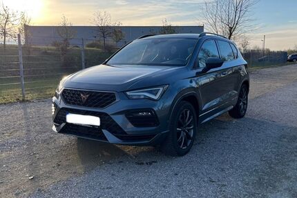 Cupra Ateca 103.800 km 22.999 &euro; Freystadt 92342