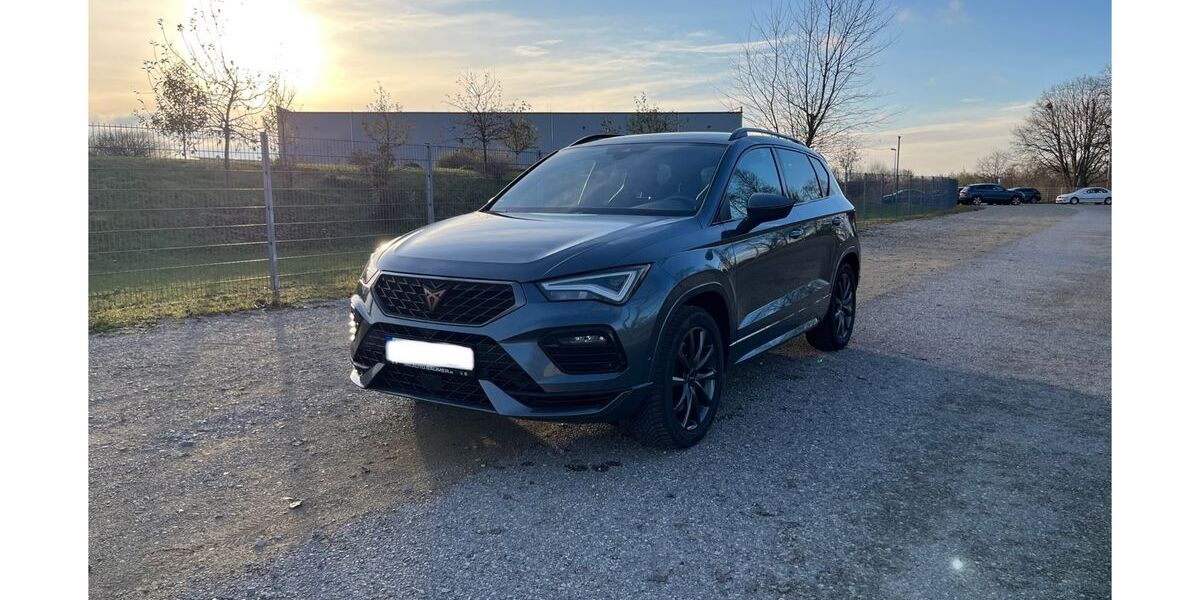 Cupra Ateca 103.800 km 22.999 &euro; Freystadt 92342