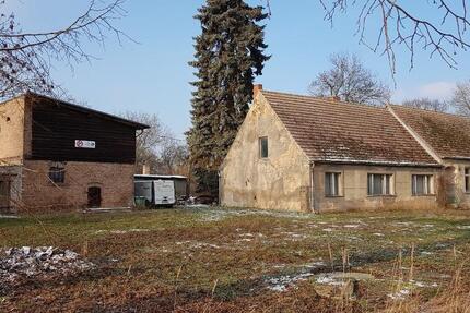 Haus Ferdinandshof - 8 Zimmer, 420 m&sup2;, 137.000&euro; | Angebot:26354176