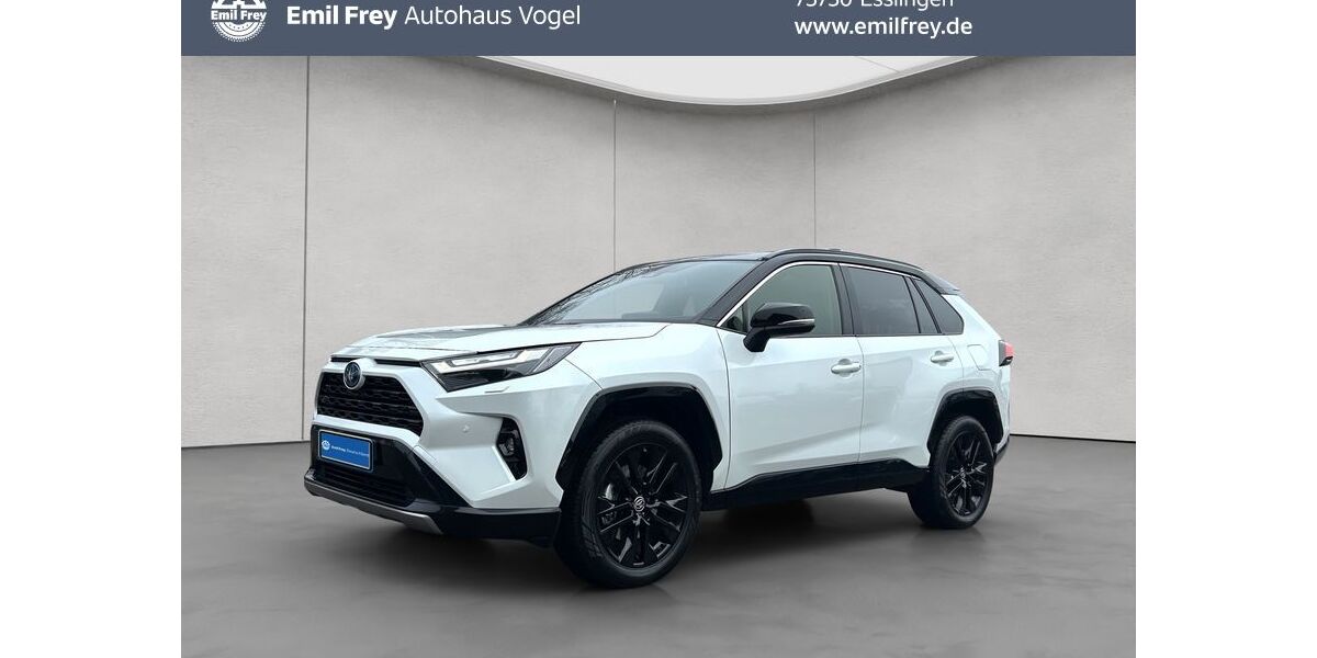Toyota RAV 4 14.214 km 43.990 &euro; Esslingen 73730