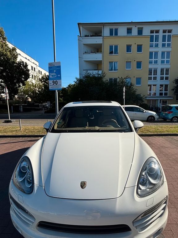 Cayenne