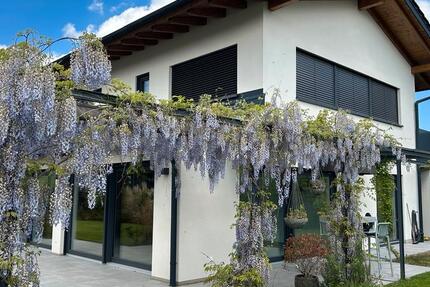 Einfamilienhaus mit ELW zwischen Wangen und Lindau von Privat zimmer