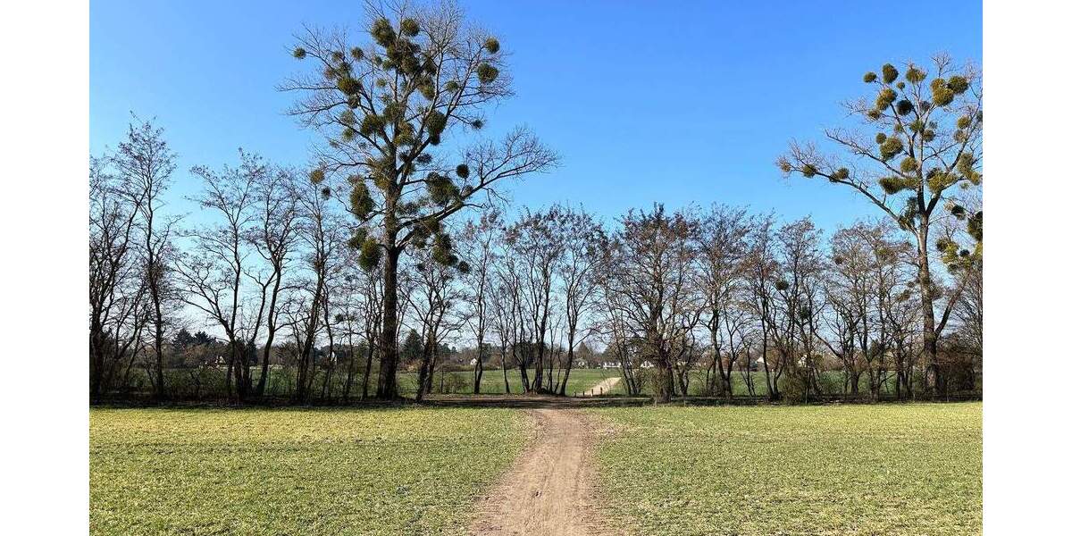 Grundstück Schöneiche - 298.000&euro; | Angebot:25836708