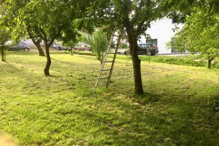 3,5 Zi Wohnung mit Gartenbenutzung