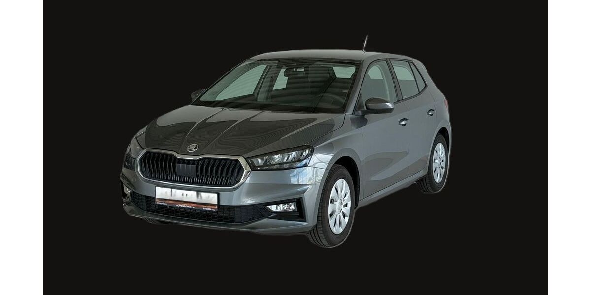 Skoda Fabia 3.800 km 17.350 &euro; Pforzen 87666