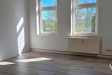 Wohnung Werdau - 2 Zimmer, 41 m&sup2;, 200&euro; | Angebot:26381418