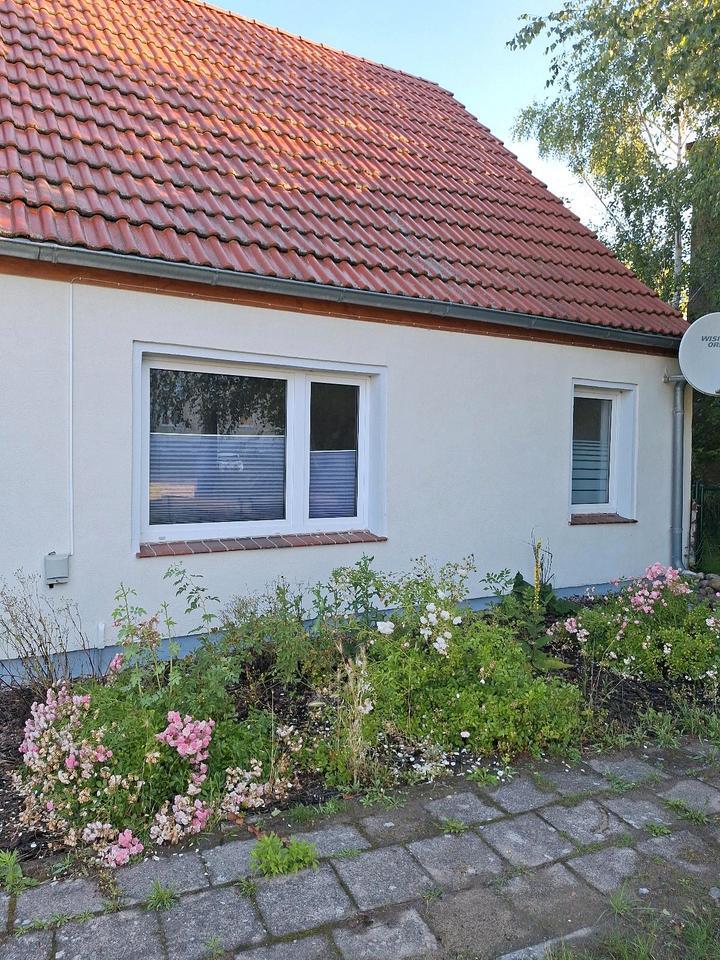 Doppelhaushälfte