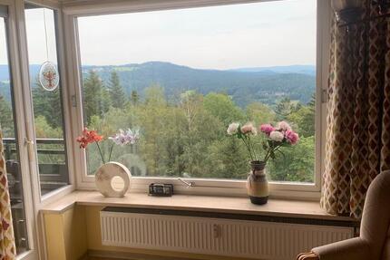 Wohnung mit Schwimmbad und Dachterrasse OberkreuzbergSpiegelau 2 zimmer