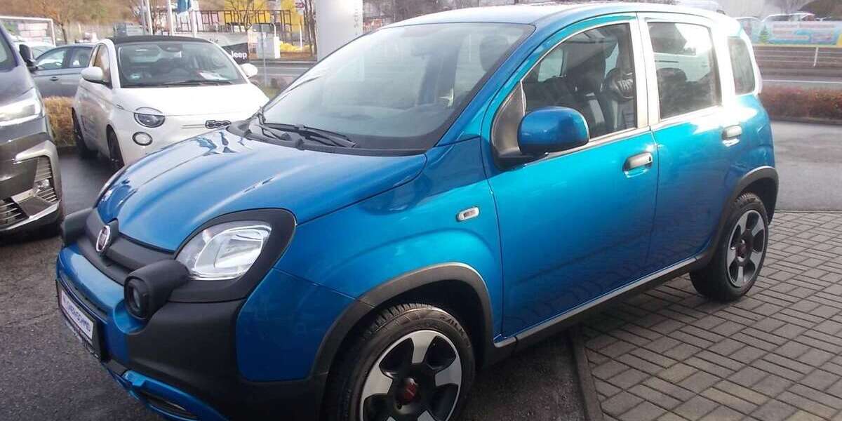 Fiat Panda 24.630 km 13.980 &euro; RIESA 01587