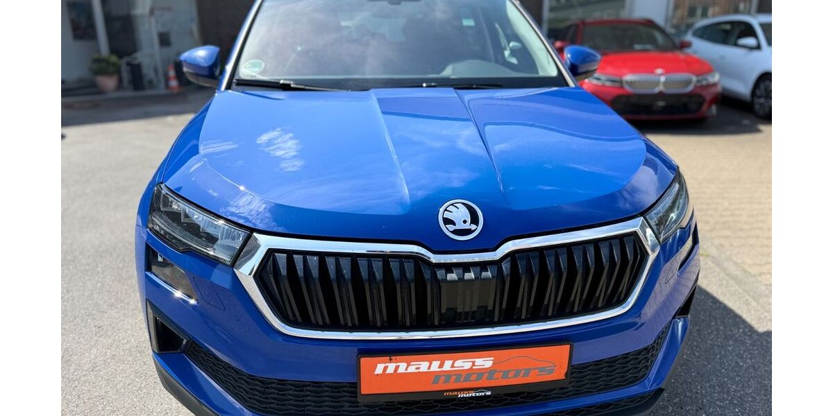 Skoda Karoq 174.700 km 13.880 &euro; Düsseldorf 40549