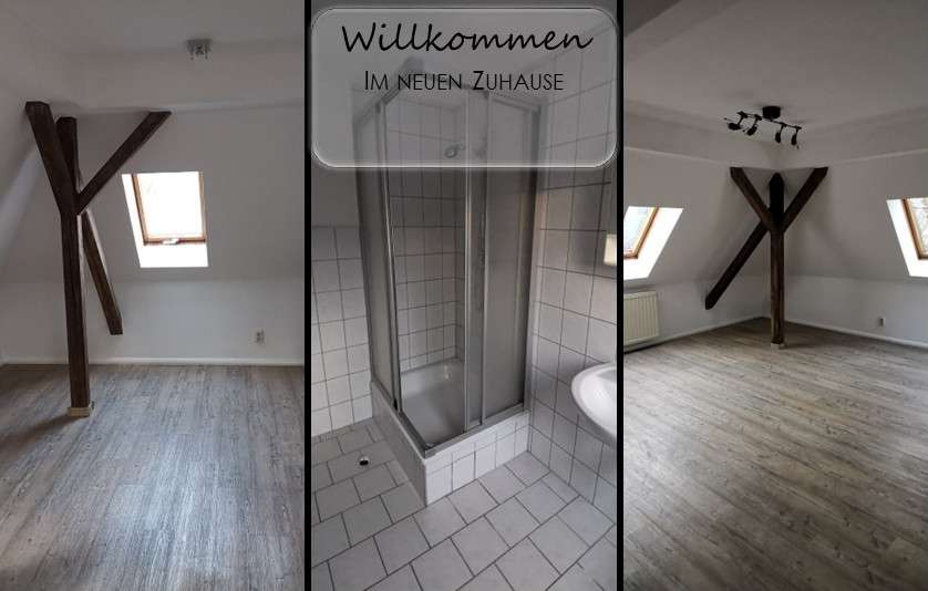 Etagenwohnung Plauen Ostvorstadt - 1 Zimmer, 37 m&sup2;, 215&euro; | Angebot:26393923