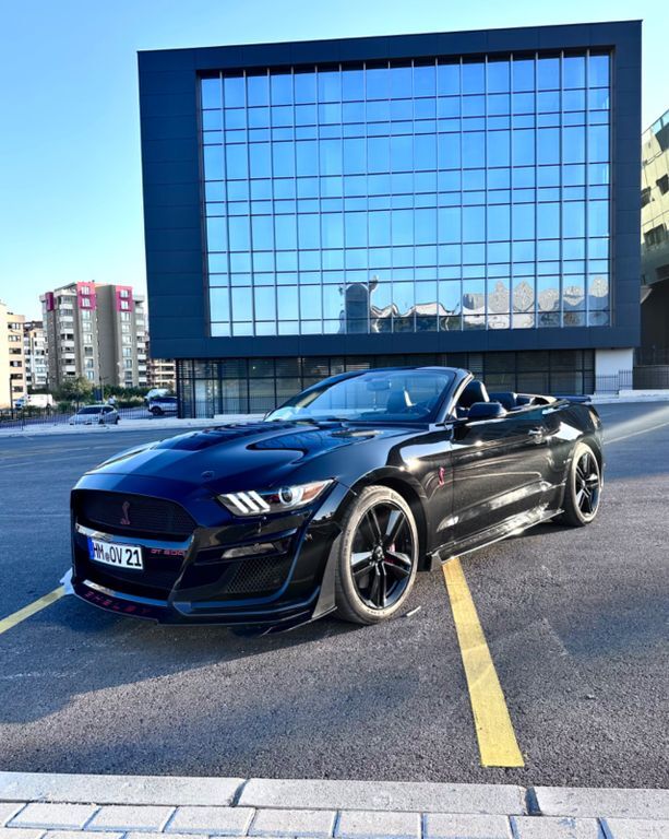 Mustang
