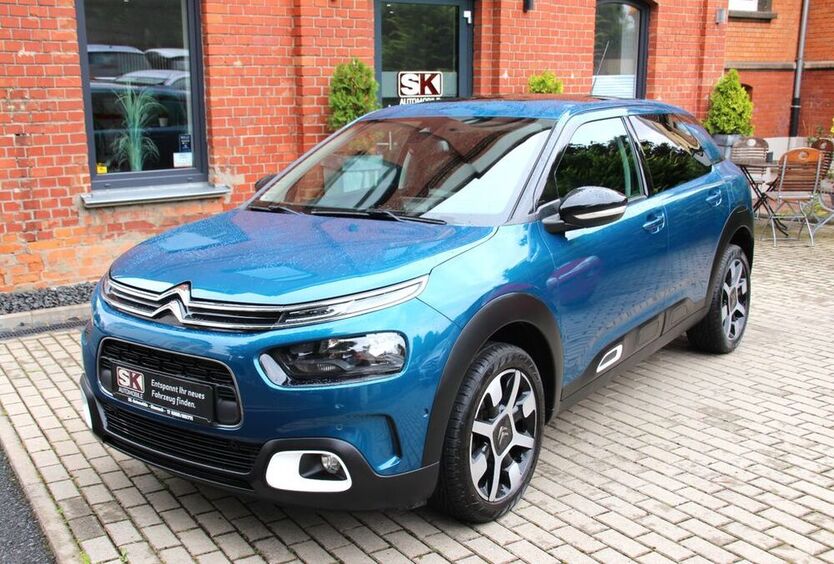 C4 Cactus