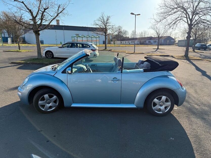 New Beetle