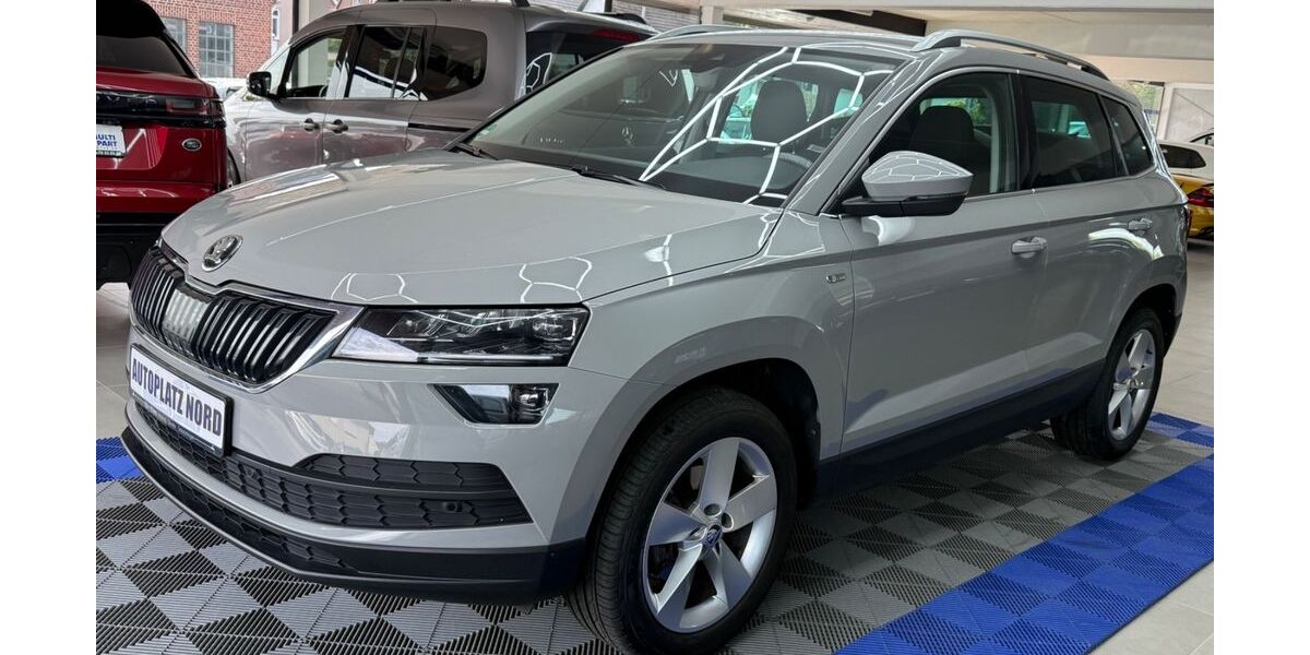 Skoda Karoq 117.000 km 17.799 &euro; Ritterhude 27721