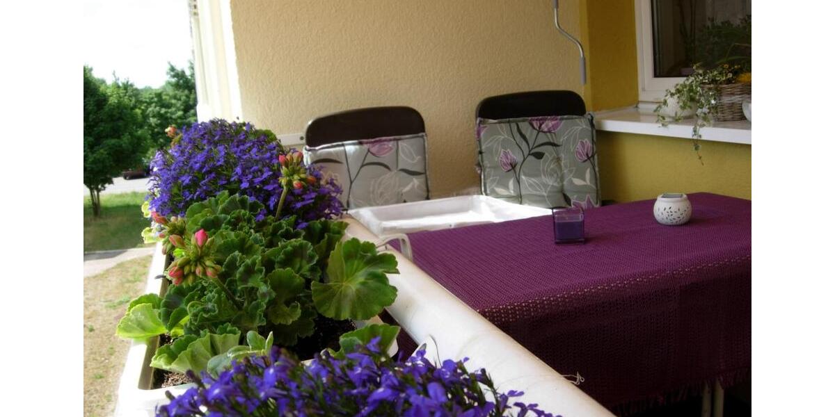 Etagenwohnung Riesa Neuweida - 3 Zimmer, 68 m&sup2;, 100.000&euro; | Angebot:25368316