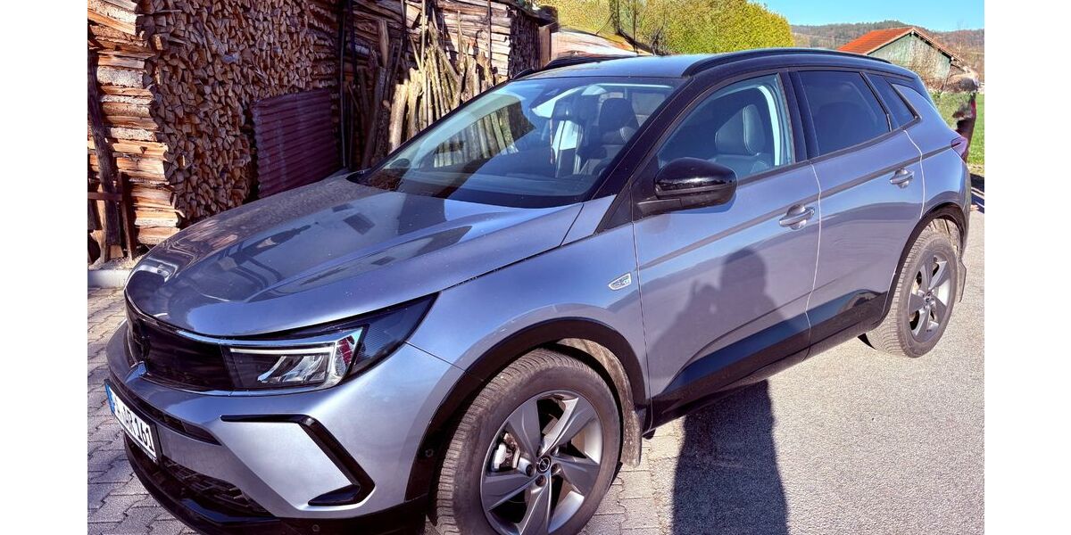 Opel Grandland (X) 30.669 km 18.899 &euro; Ortenburg 94496
