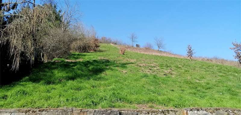 Grundstück zu verkaufen in Oberheimbach 49.000 € 1178 m²