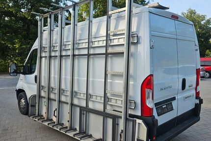 Fiat Ducato 294.379 km 8.900 € Lachen-Speyerdorf 67435