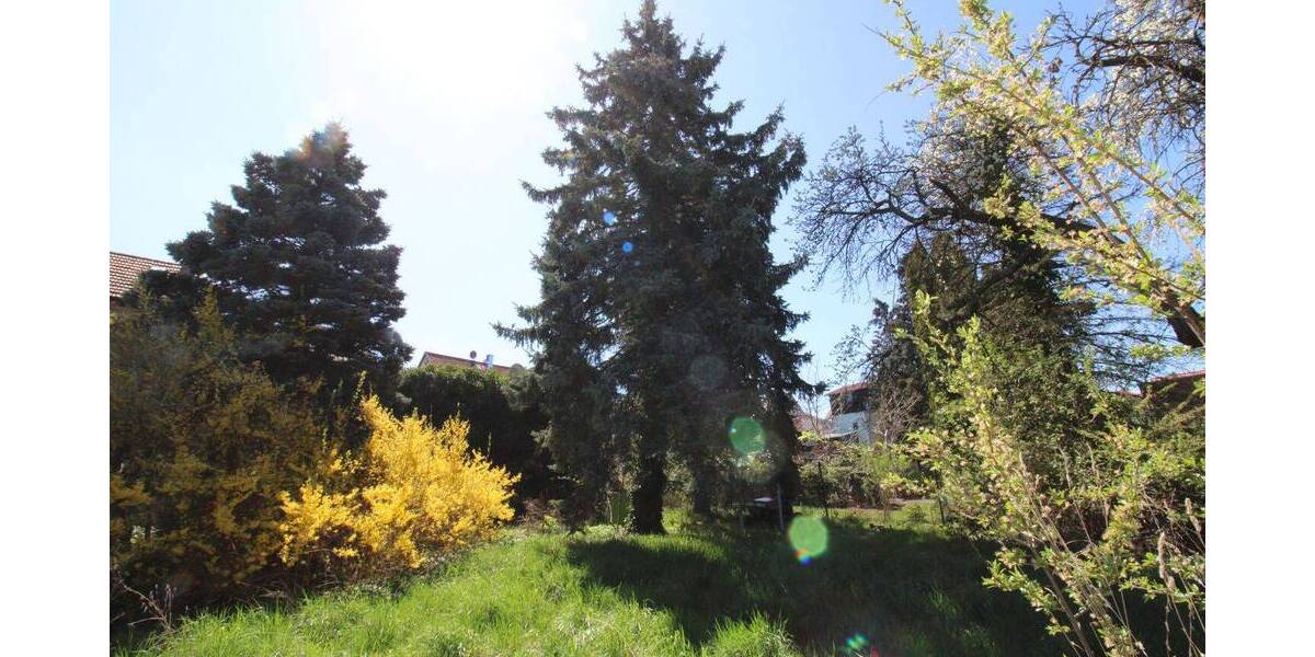 Einfamilienhaus Friedrichroda - 4 Zimmer, 120 m&sup2;, 155.000&euro; | Angebot:26276758