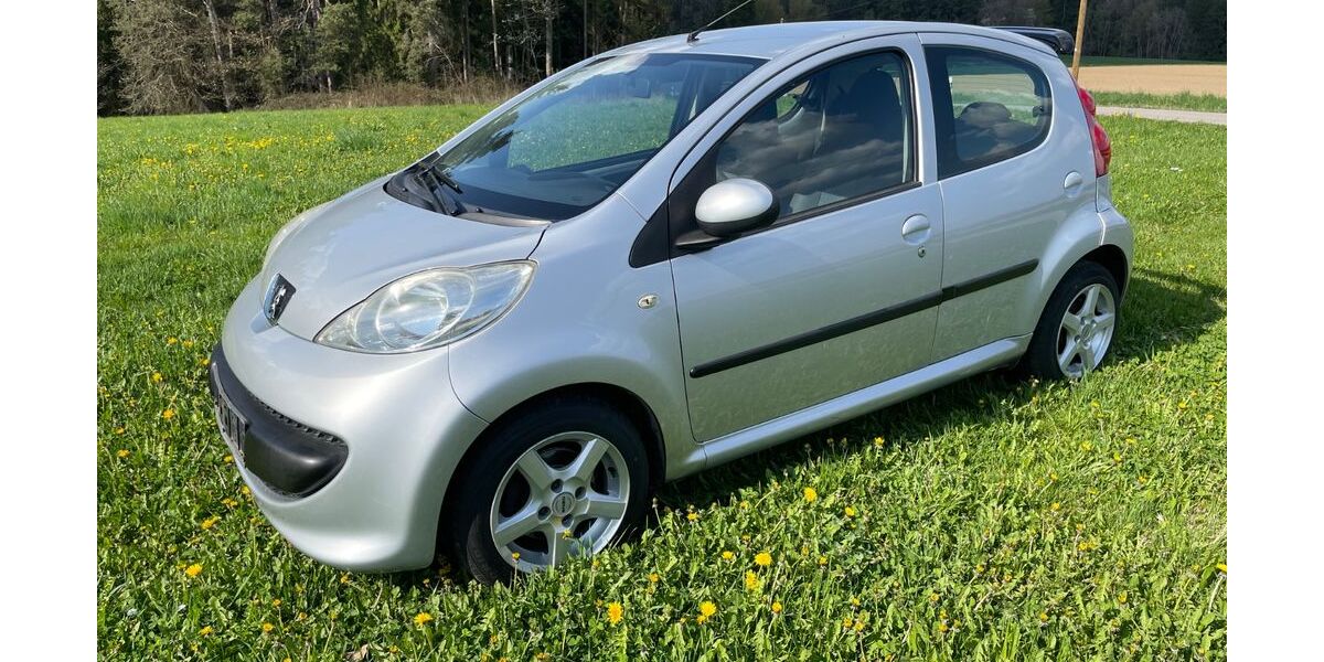 Peugeot 107 184.038 km 1.299 &euro; Reisbach 94419